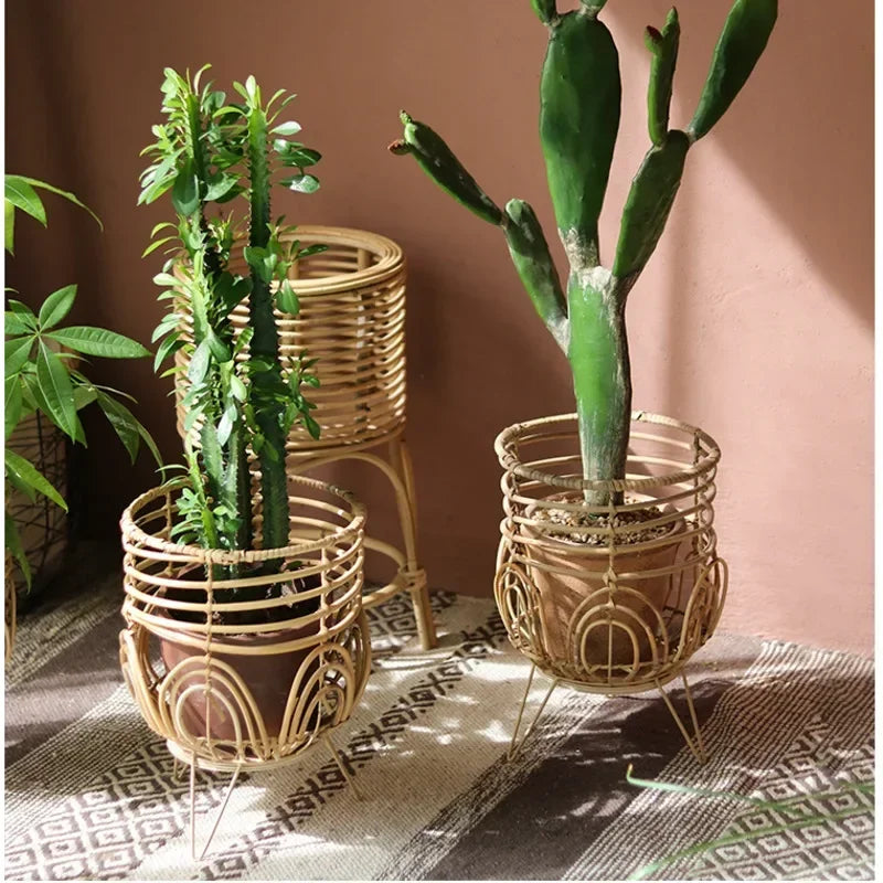 Two potted cacti in decorative wicker planters on a patterned rug.