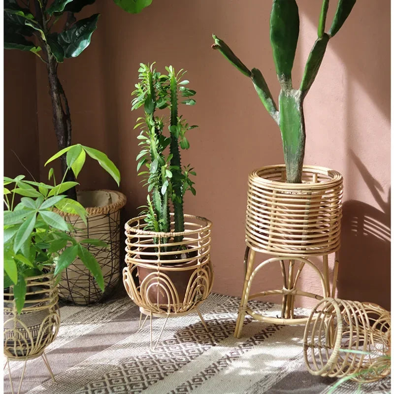 Decorative wicker planters with cacti and succulents on a patterned rug against a brown wall.
