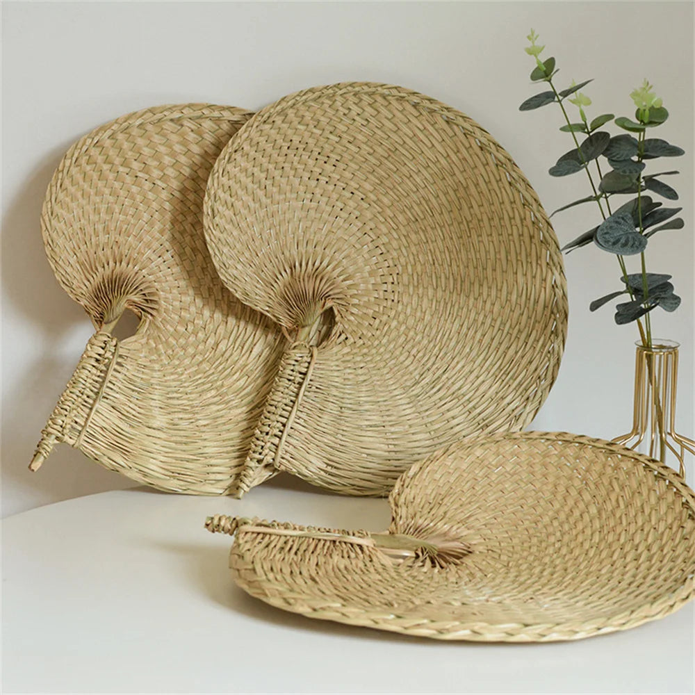 Set of woven hats and trays on a white surface with a plant in the background