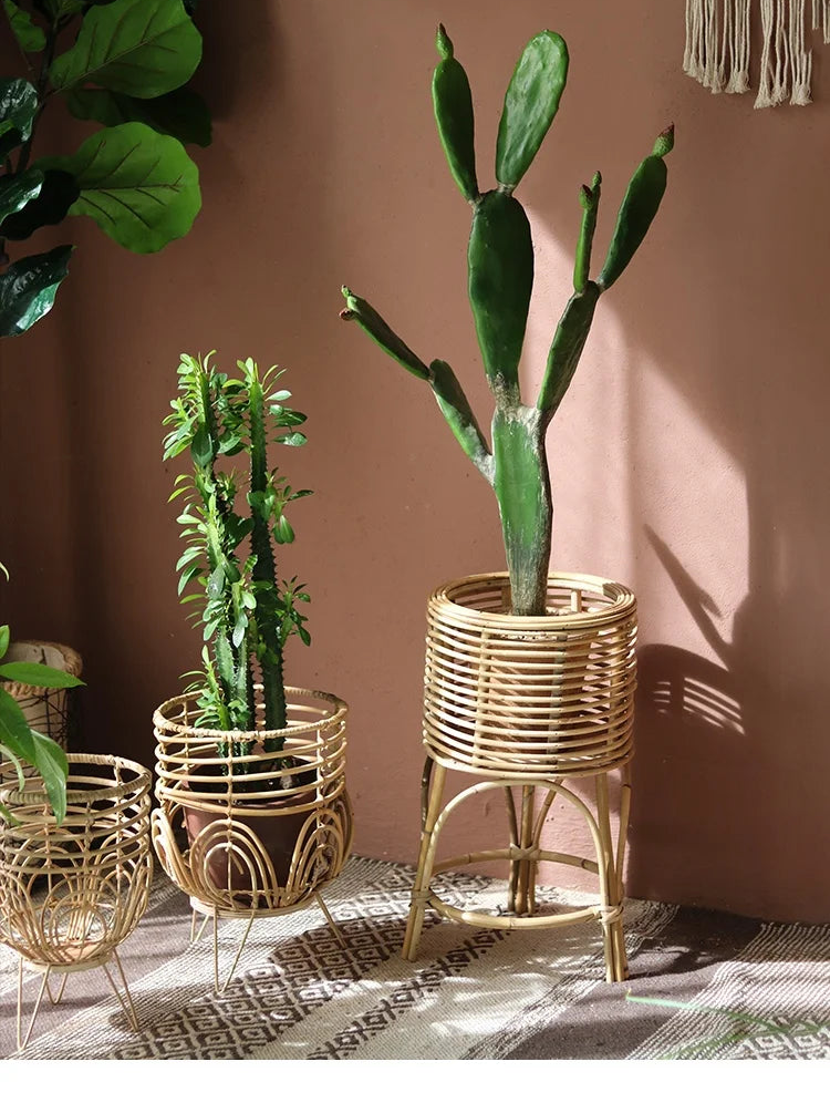 Two potted plants in decorative stands against a brown wall.