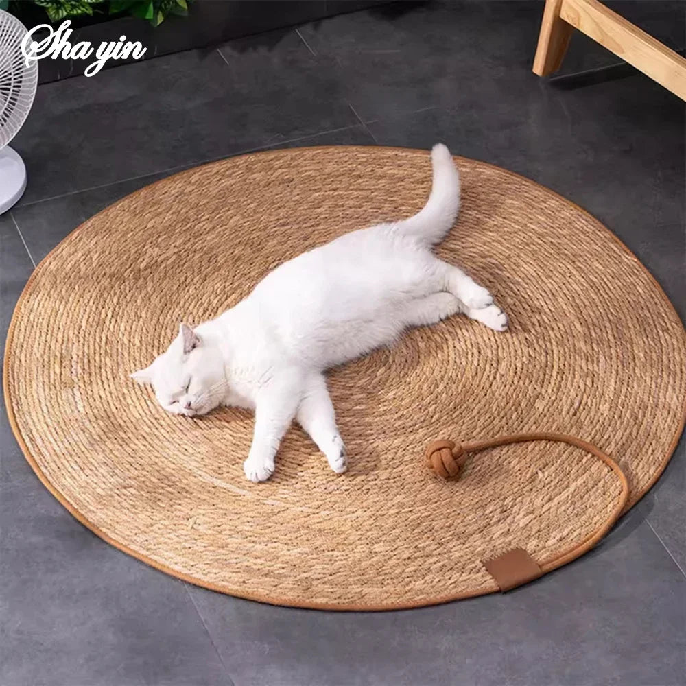 Pet Mat