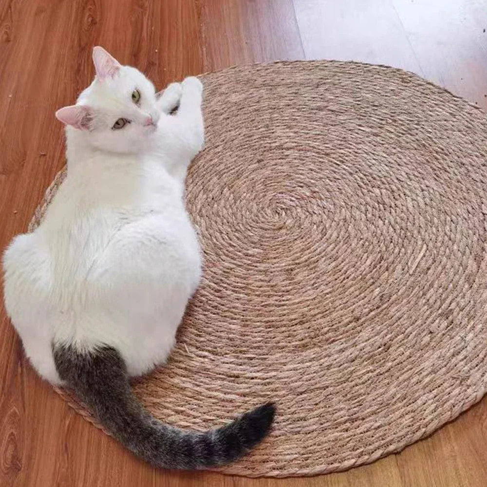 Pet Mat