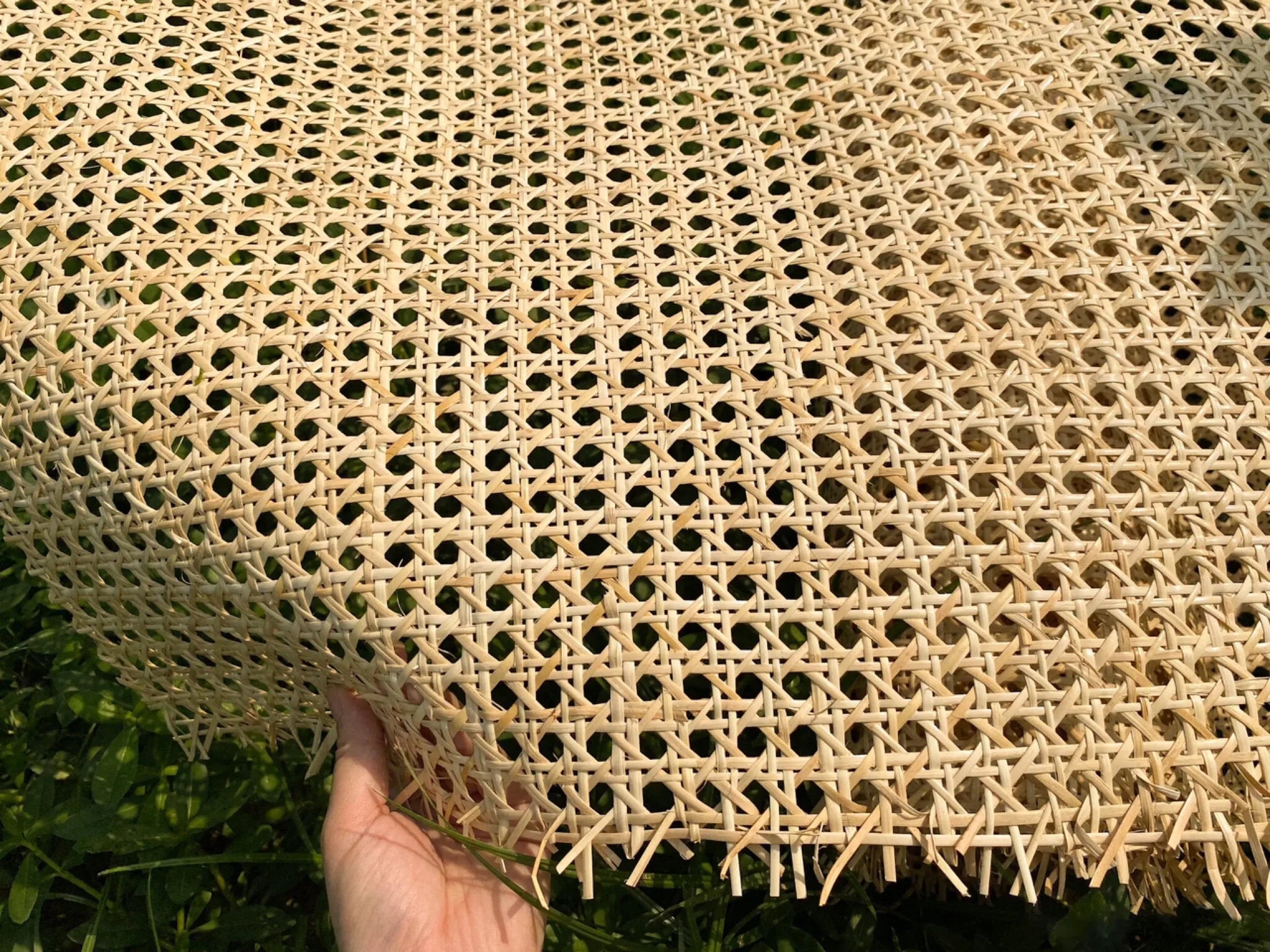 Hand holding a piece of rattan webbed cane natural decor