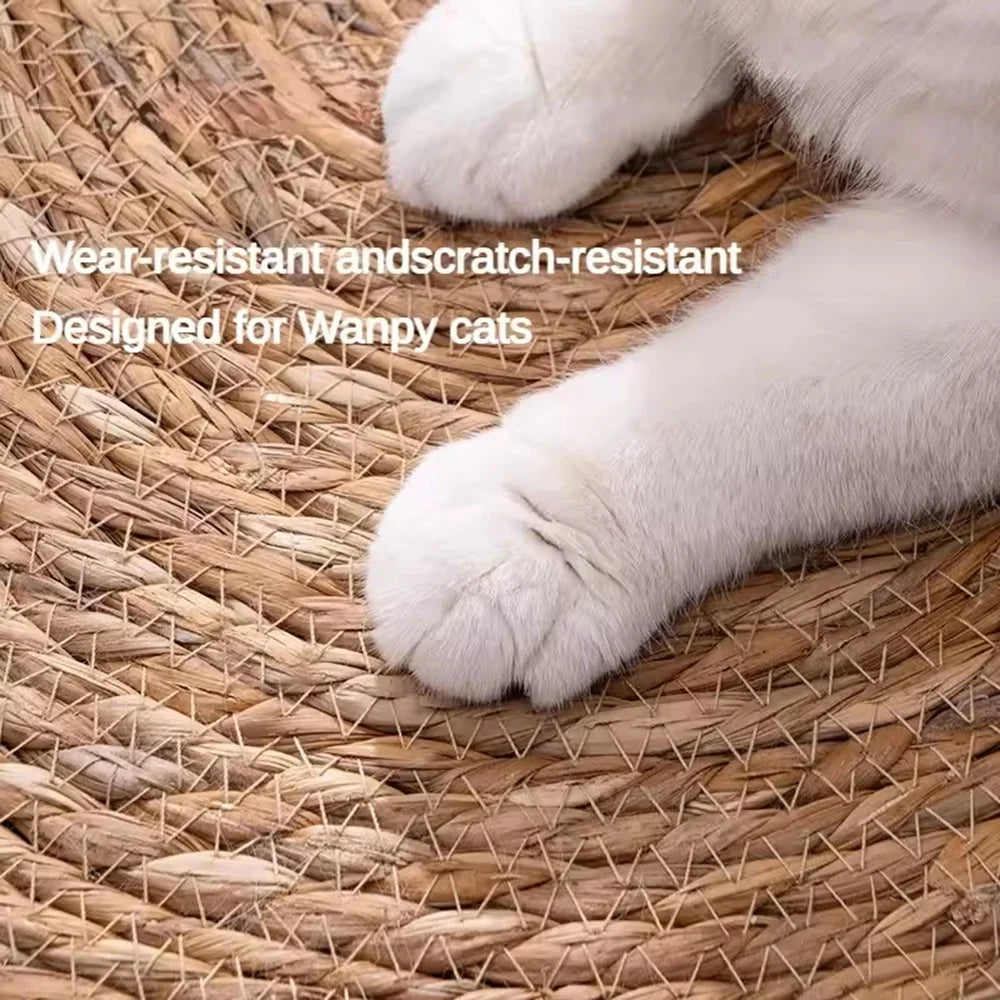 Pet Mat
