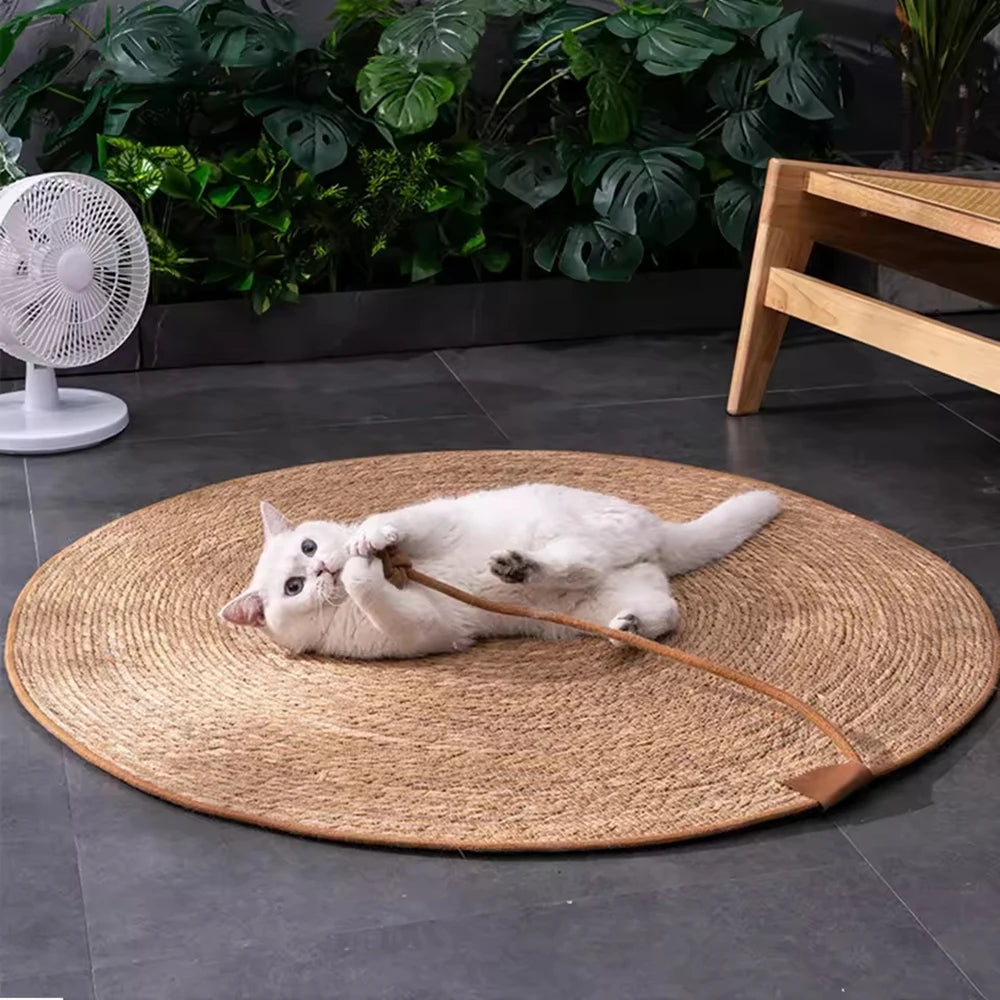 Pet Mat