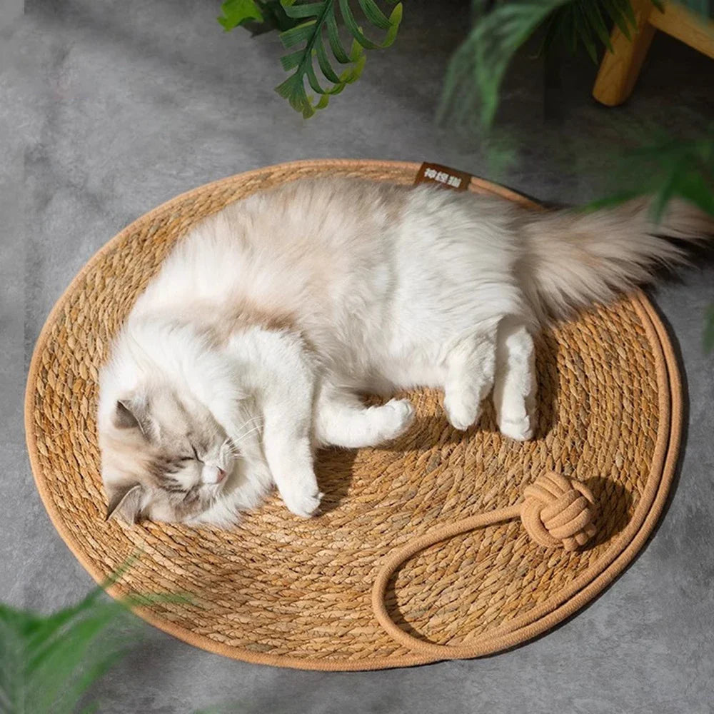 Pet Mat