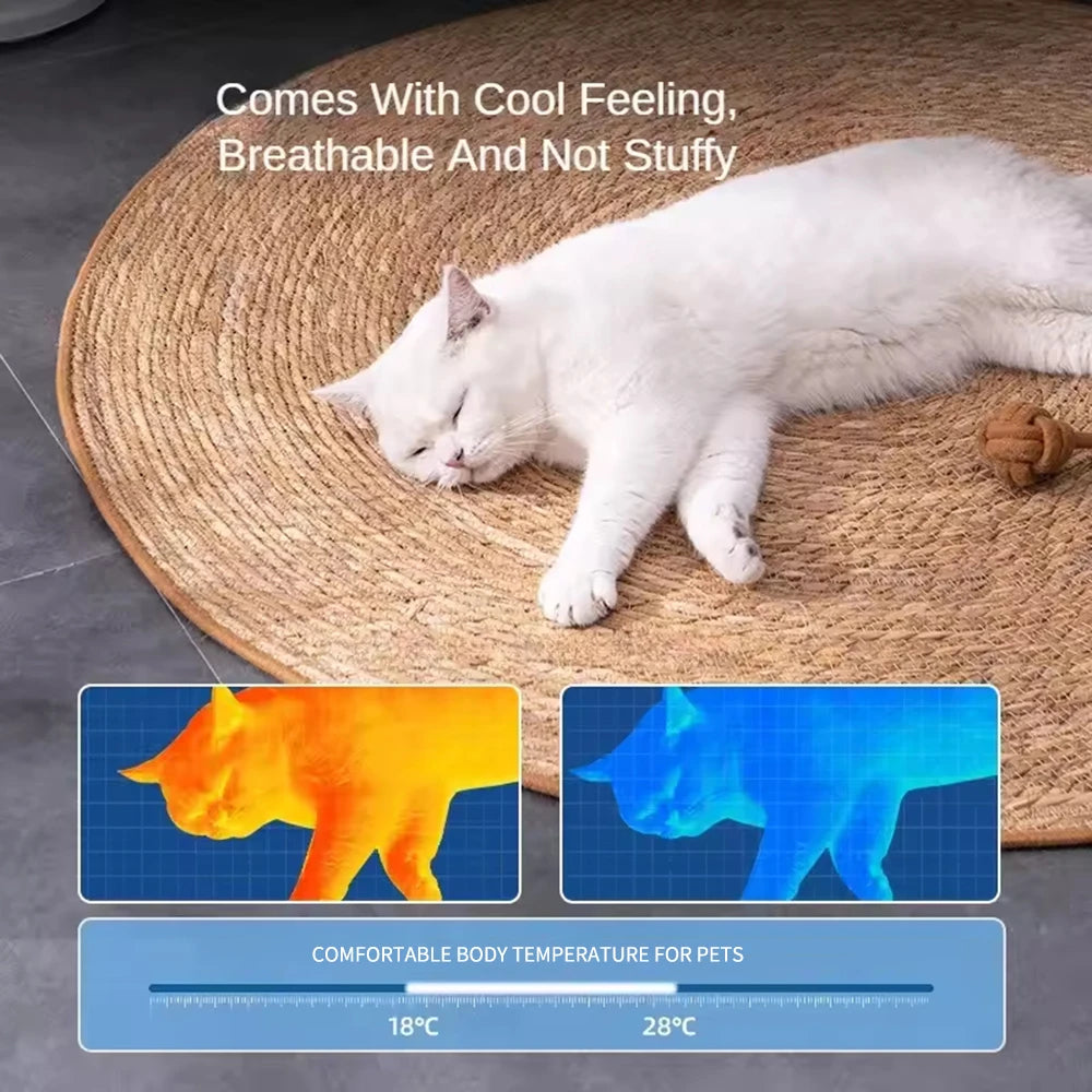 Pet Mat