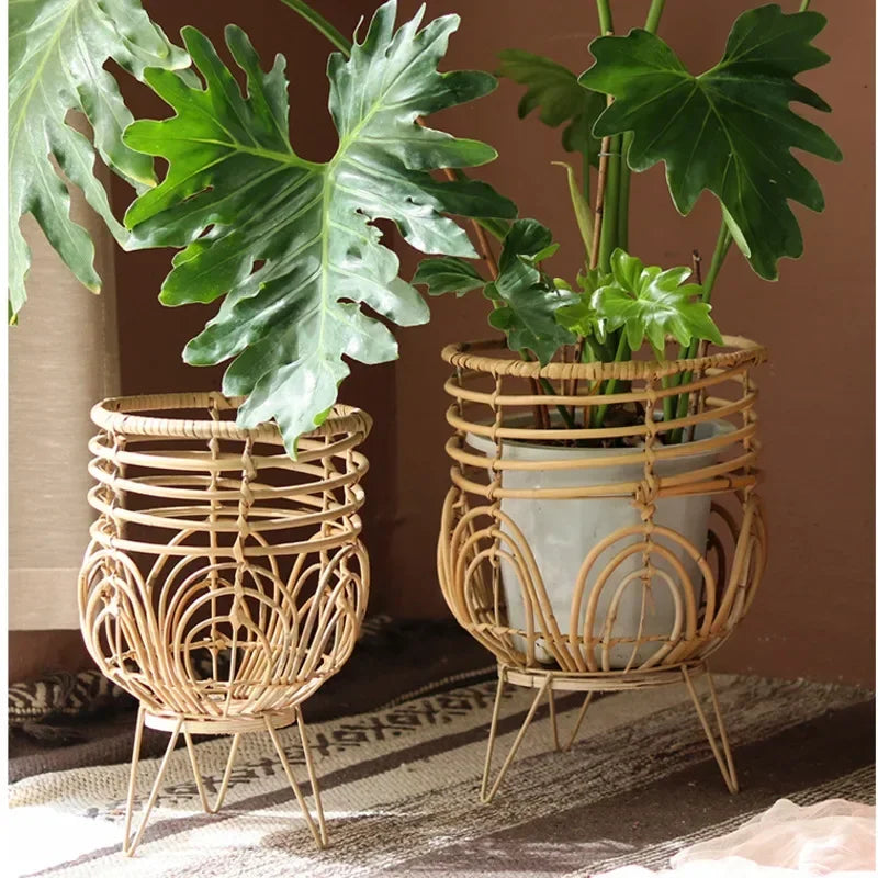 Two potted plants in decorative rattan planters on a textured surface.