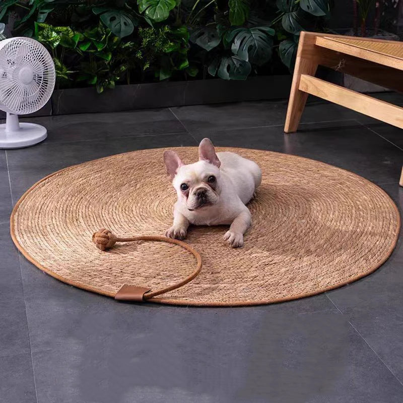 Pet Mat