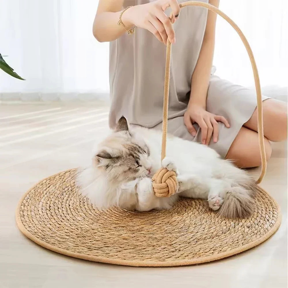 Pet Mat