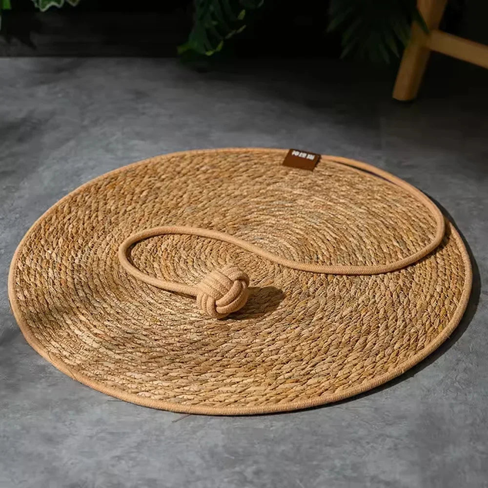 Pet Mat