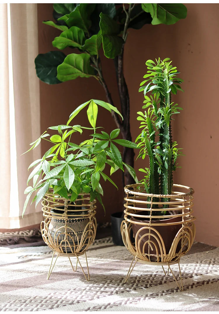 Two potted plants in decorative gold stands on a textured surface with a blurred plant in the background.