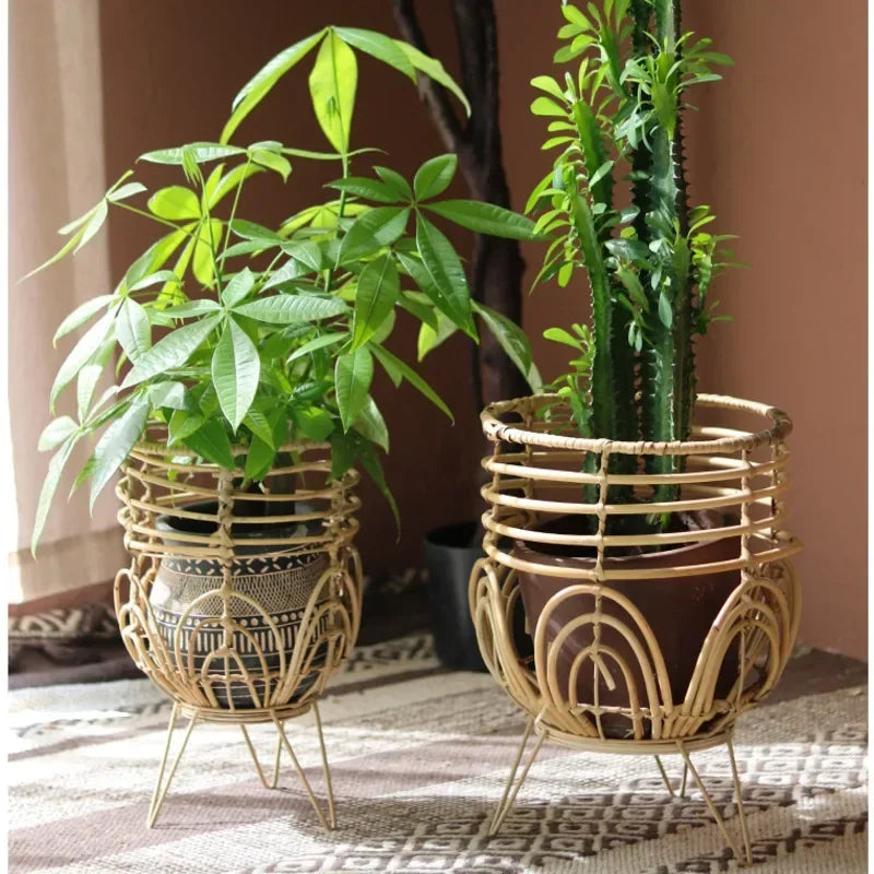 Two potted plants in decorative woven stands on a patterned rug.