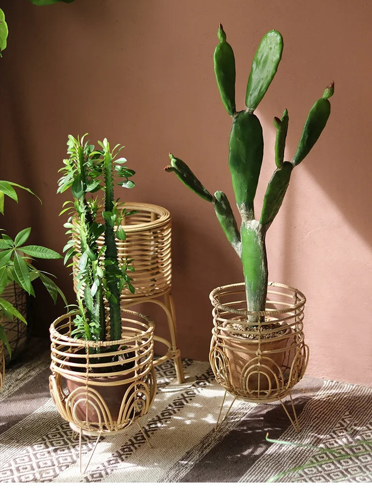 Two potted cacti in decorative wire planters on a textured surface with a brown wall background.