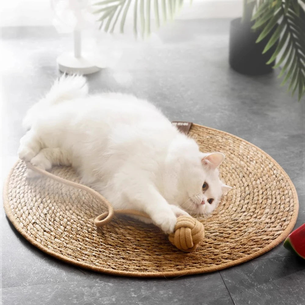 Pet Mat